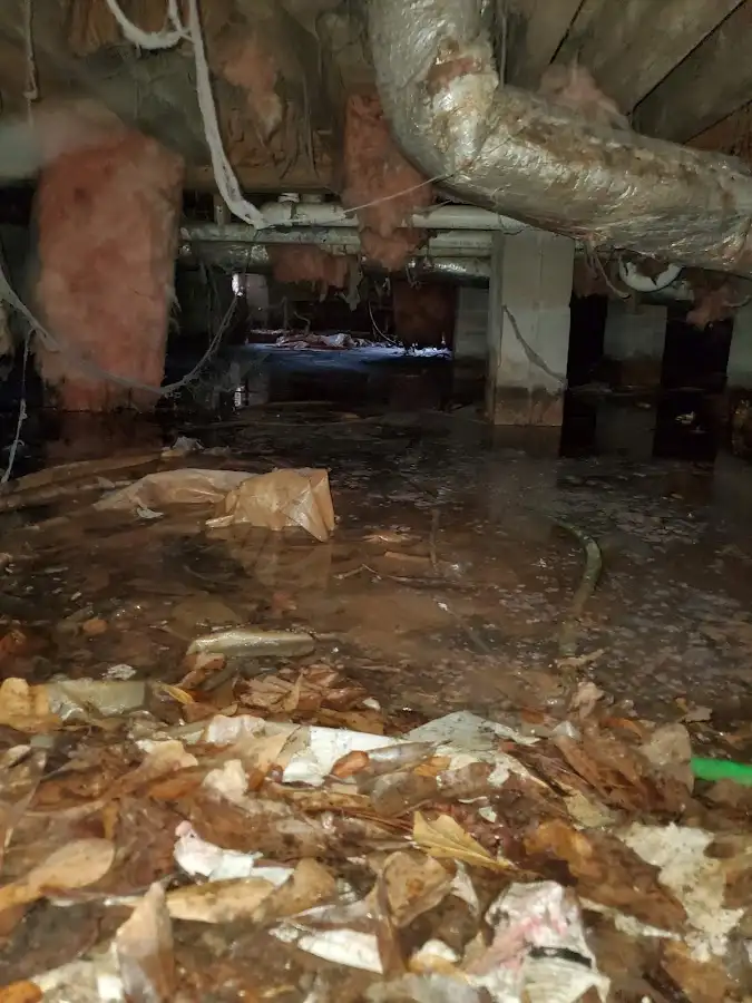 Crawl space flood assessment for Leak Detection & Repair in Monroe