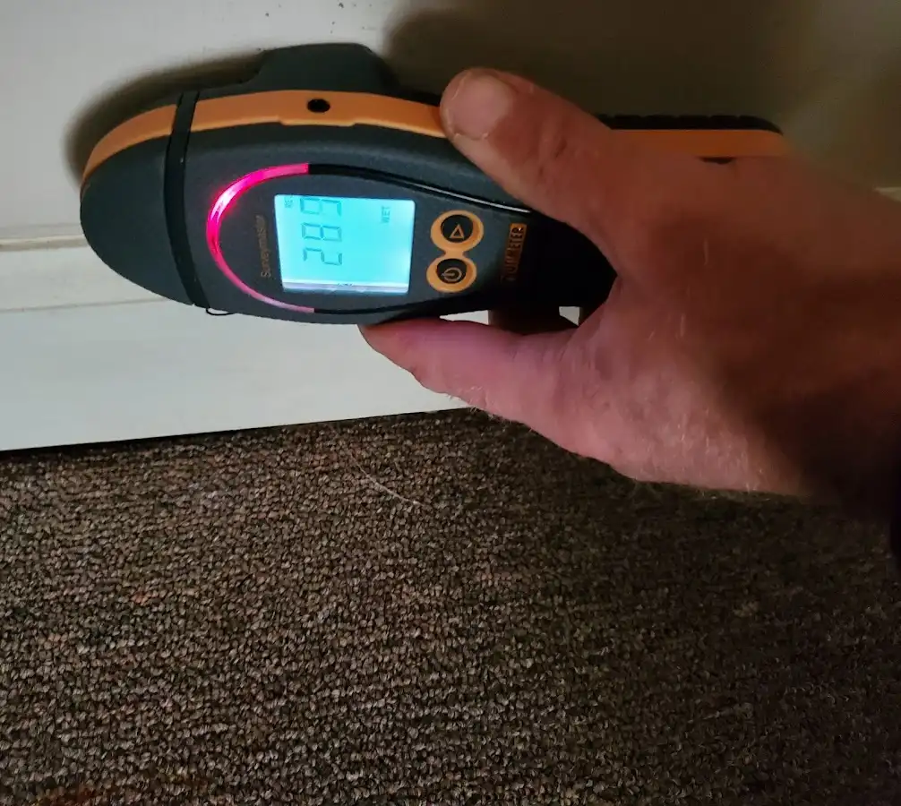Moisture detection at baseboard during Sewage Cleanup & Sanitation in Monroe